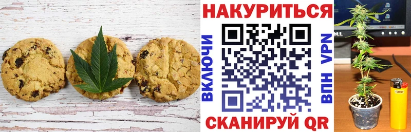 OMG как войти  Сясьстрой  Cannafood конопля 