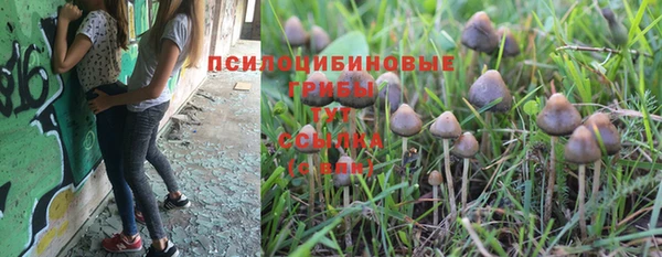 jwh Арсеньев