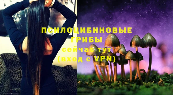 твердый Покачи