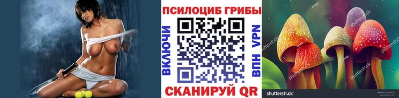 Галлюциногенные грибы Magic Shrooms  закладки  кракен зеркало  Сясьстрой 