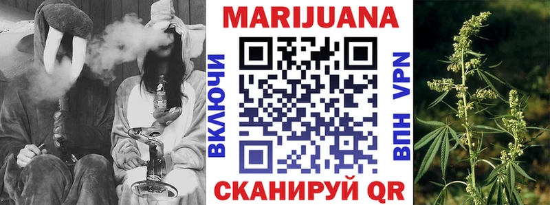 kraken сайт  Сясьстрой  Бошки Шишки конопля 